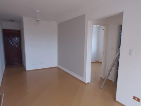 Pintura apto